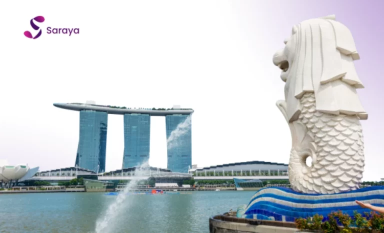 alasan-bisnis-singapura-memilih-jasa-web-design-indonesia